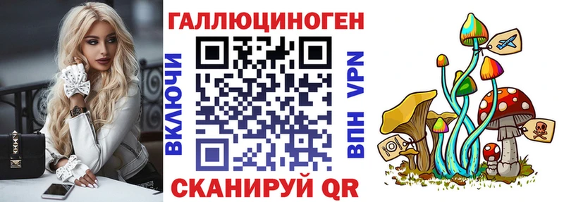 Купить где  Миллерово  Псилоцибиновые грибы Cubensis 